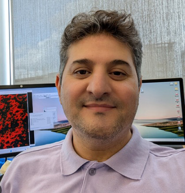 Dr. Farshad Homayouni Moghadam